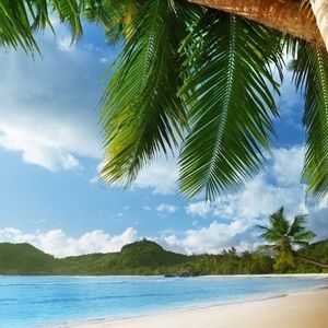 Meet your Posher, Reagan